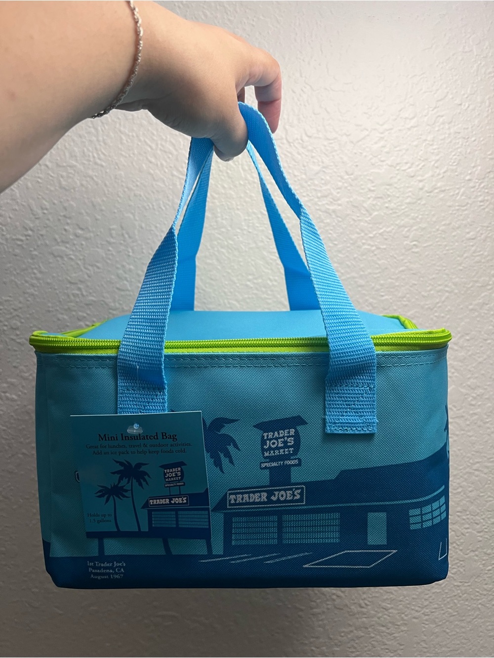 NWT Trader Joe's Mini Insulated Bag - Blue with Lime Zipper